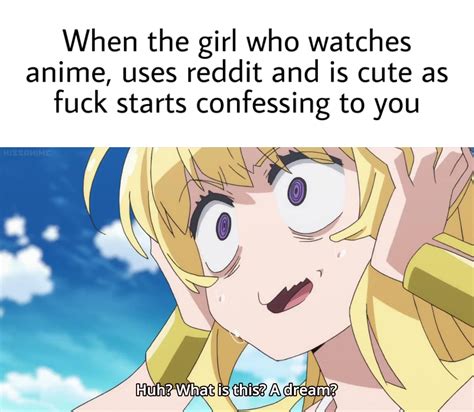 reddit anime memes|good anime memes reddit.